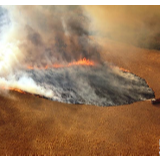 综述：澳大利亚林火肆虐 将设新机构救灾