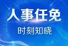 岳阳市政府任免一批干部