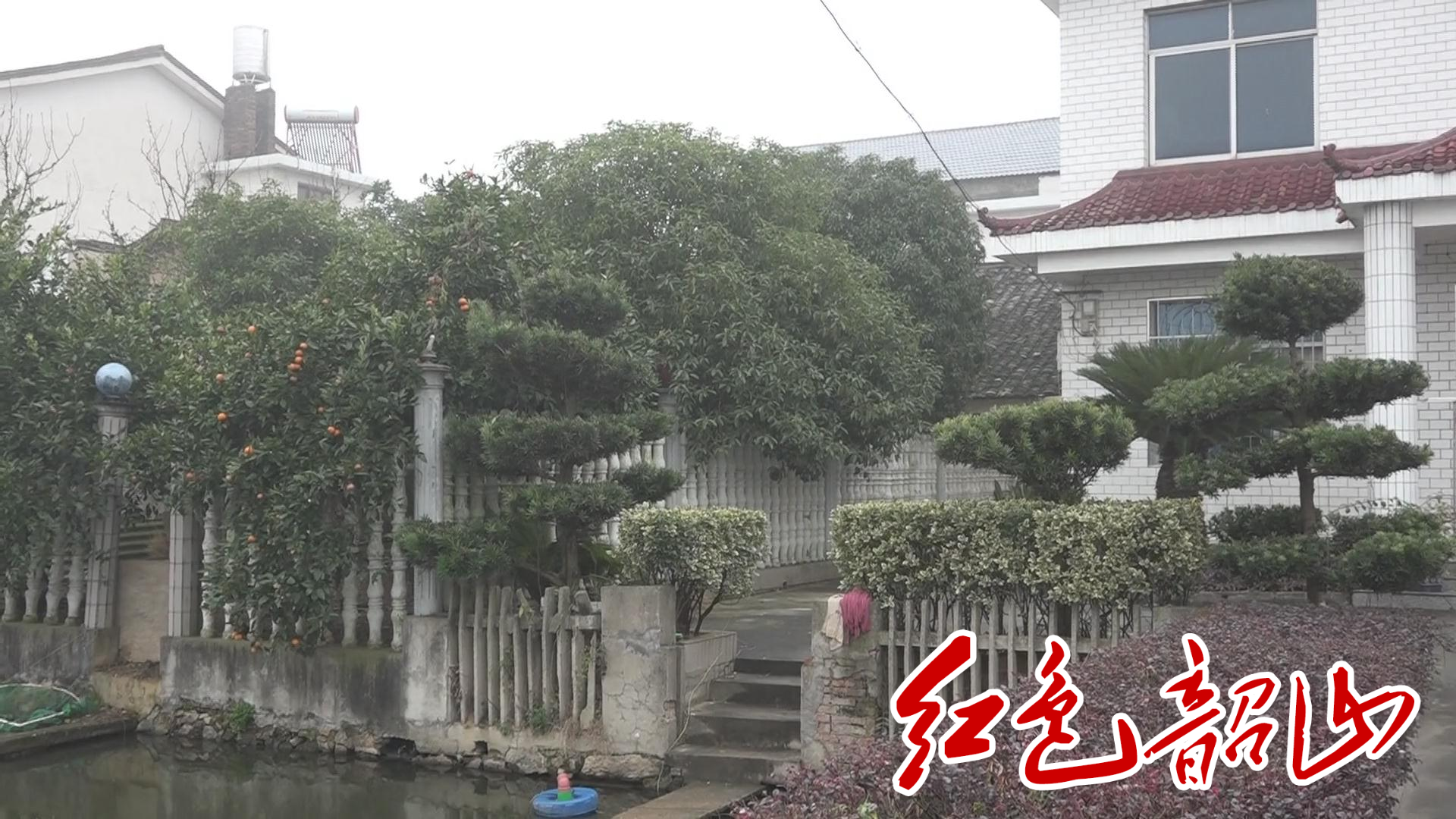 ????20201711661589.jpg ????20201711661589.jpg