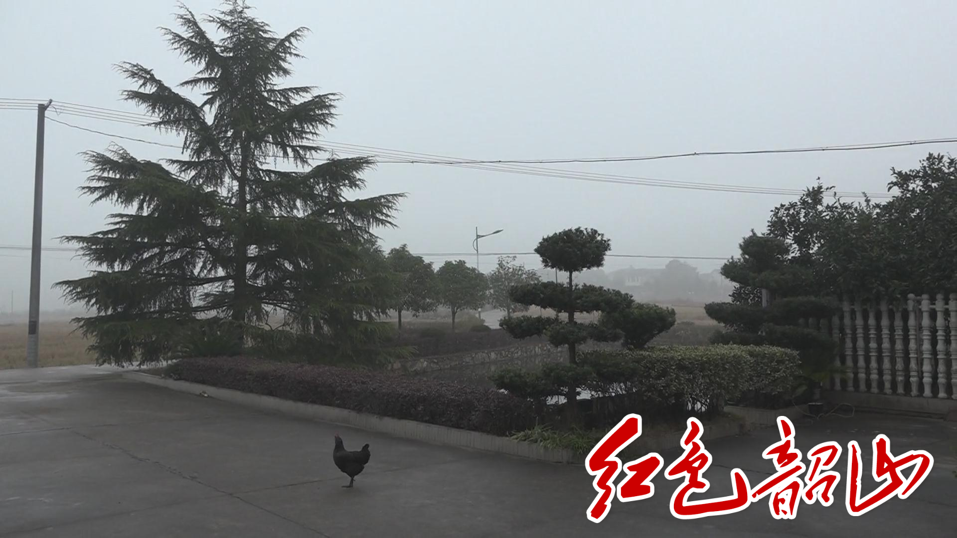 ????20201711557474.jpg ????20201711557474.jpg