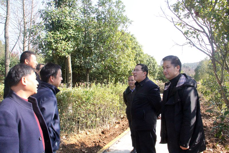刘永格调研乡镇宣传思想文化工作