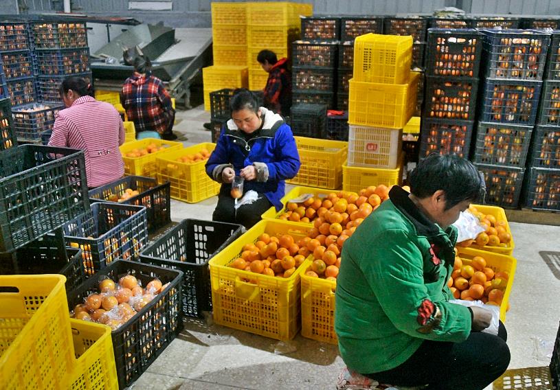 360??20200107162943759.jpg 360??20200107162943759.jpg