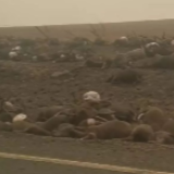 四个月了，澳大利亚山火为何越烧越大？