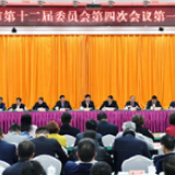 胡衡华参加市政协十二届四次会议第一联组讨论会