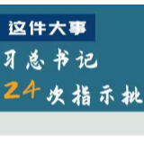 这件大事，习总书记24次指示批示