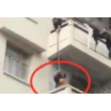 “吊孙救猫”暴露对安全和法律的无知