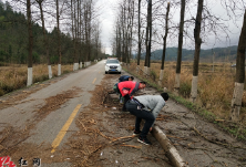 狂风暴雨突袭靖州 公路部门连夜清障保畅通