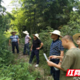 东方红好一支“绿叶”队伍