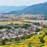 2019年中国粮食产业产值将保持在3万亿以上