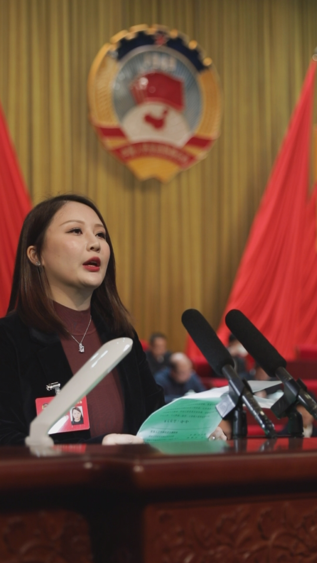 益阳两会委员金句71艾燕大力支持民营企业实现创新发展