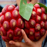 “黑老虎”的梦想