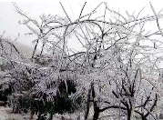 视频丨湖南2020年第一场雪下在常德石门 快来看冰雪世界