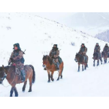 这个冬天,他们最帅!