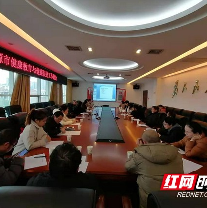 娄底涟源市全面部署健康教育与健康促进工作