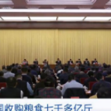 2019年全国收购粮食七千多亿斤 多措并举消化粮食不合理库存