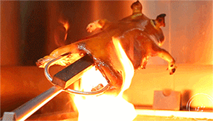 2.gif