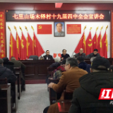 邵阳县七里山场宣传十九届四中全会精神