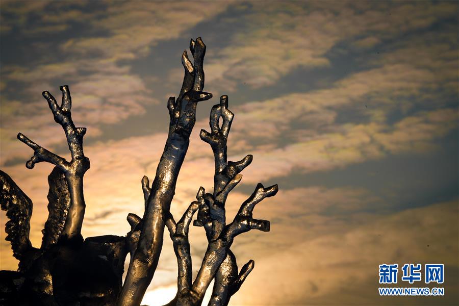 在哈尔滨冰雪大世界园区中，主题各异的冰雕作品引人入胜（1月9日摄）。 近日，第36届中国·哈尔滨国际冰雪节在哈尔滨冰雪大世界开幕，吸引国内外的游客前来观冰赏冰。在哈尔滨冰雪大世界园区中，晚霞给工艺精湛的冰雕作品“披”上鎏金“外套”，晶莹剔透的冰雕仿佛被落日点冰成“金”。 新华社记者 王松 摄