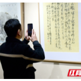 “创文风采·圆梦2020”郴州市首届迎春书画展开展