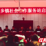 临武县乡镇（街道）社会工作服务站正式授牌成立