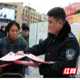 龙山公安开展“不忘初心110，共治共建享安宁”宣传活动