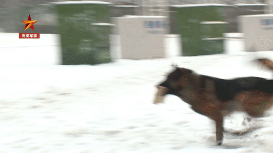 微信图片_20200111082044.gif