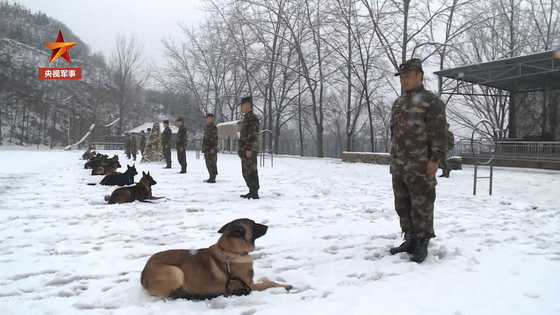 微信图片_20200111082026.gif