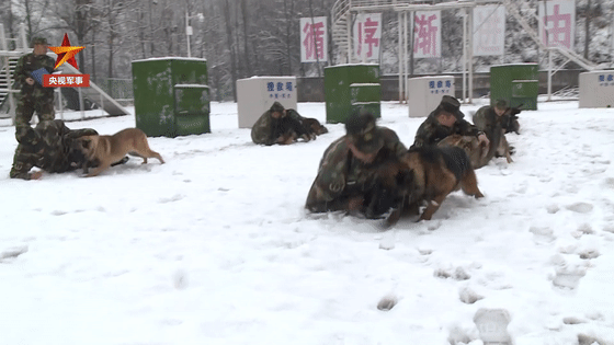微信图片_20200111082030.gif