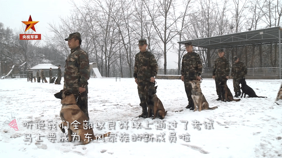 微信图片_20200111082108.gif