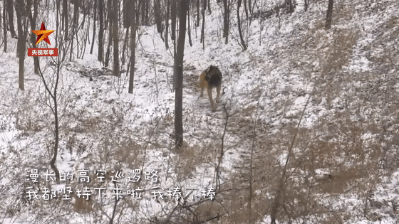 微信图片_20200111082051.gif