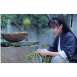 经济日报：网红江湖几周一个新格局，谁是下一个“李子柒”？