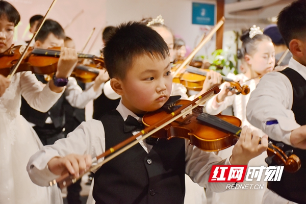 小提琴合奏《查尔达什舞曲》，大家一起感受小提琴的魅力！