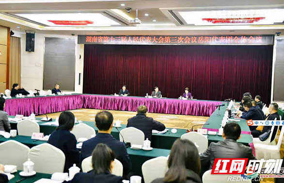 聚焦省“两会”：省十三届人大第三次会议岳阳代表团举行中共党员会议