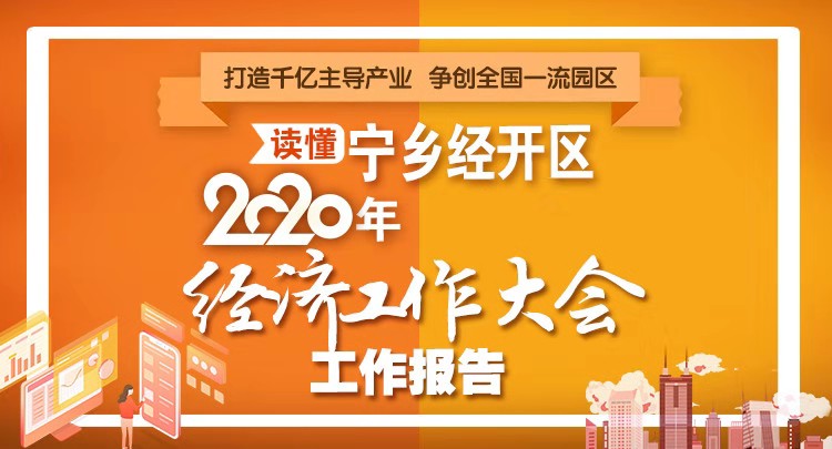 宁乡2020年经济总量_17年宁乡水灾图片