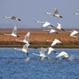 2020年洞庭湖区乡镇污水处理设施将全覆盖