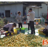双牌：益农信息社打通服务基层群众“最后一公里”