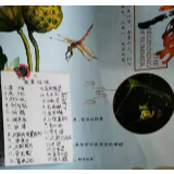 红心闪闪耀民心  垃圾分类领前行