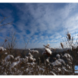 走向雪山深处的巡线工人