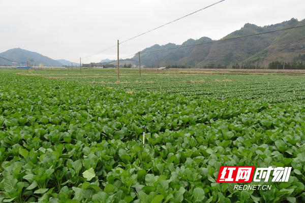 基地一角_副本.jpg