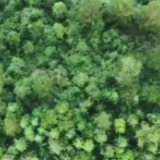 新春走基层丨踏冰卧雪只为在高原守护你