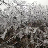 城步威溪乡雪花村再现天然冰雕美景