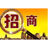 资兴召开2020年第一次招商引资项目评审会