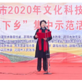 邵阳市2020年文化科技卫生“三下乡”集中示范活动在武冈市大甸镇启动