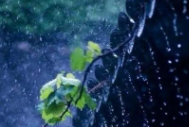 文化永州丨周中心：冬夜听雨
