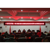 区委第四巡察组向冷水滩区城管局反馈巡察情况