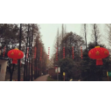 鲜花灯笼相映成趣，湘潭园林人扮靓城市迎新春（组图）