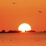 慢慢读丨减肥10公斤、每天锻炼…你能守住新年决心吗