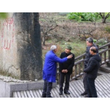 神山村“逃山”的后生们又回来了