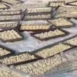 冲上热搜！包20000个饺子放地上速冻，网友却说暖化了...