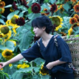 李子柒回应了